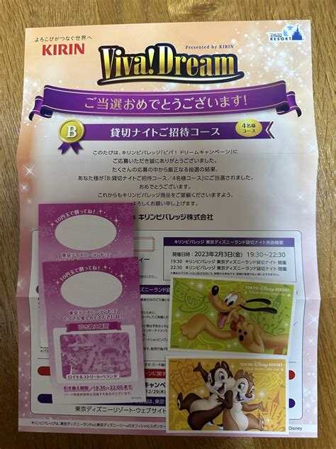 【未使用】23 東京ディズニーランド 貸切ナイト プライベート・イブニング・パーティー ビバ！ドリーム 2枚の落札情報詳細 Yahoo