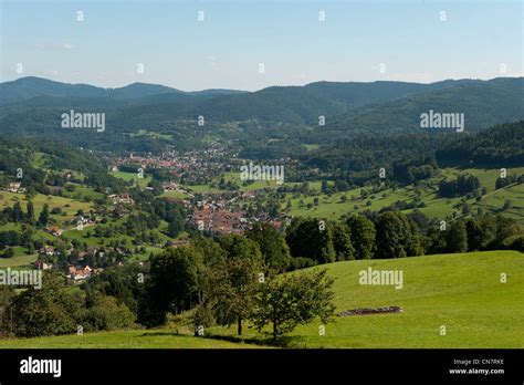 France Haut Rhin Vallee De Munster Munster Valley Stock Photo Alamy