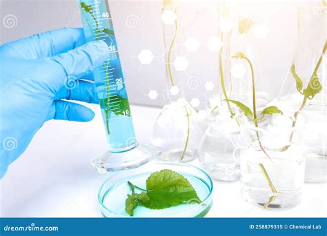 Laboratory Biology Experiments with Green Plants, Science Experiment ...