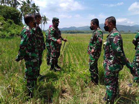 Wakasal Tinjau Lokasi Ketahanan Pangan TNI AL Di Lampung