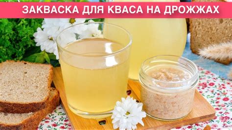КАК ПРИГОТОВИТЬ ЗАКВАСКУ ДЛЯ КВАСА НА ДРОЖЖАХ? Просто и доступно, для ...