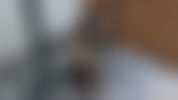 Chinese Bondage Porn Videos Clips Sale