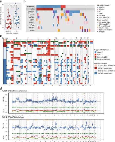 Genetic And Clinical Landscape Of Breast Cancers With Germline Brca