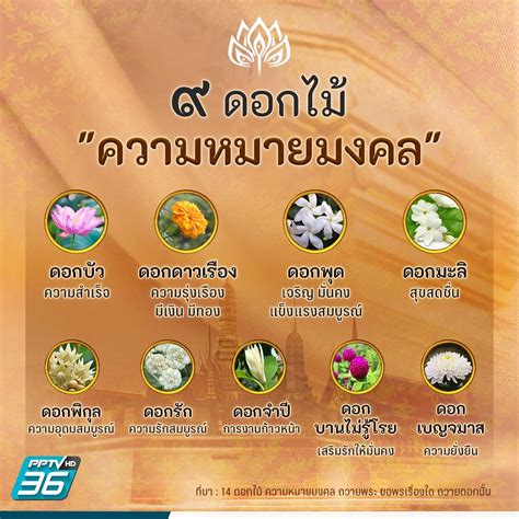 วันมาฆบูชา 2567 14 ดอกไม้ ถวายพระ ความหมายมงคล ขอพรเรื่องใด ถวายดอก