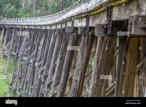 Very old abandoned wooden railroad Trestle Bridge in Noojee Victoria Australia now a rail trail ...