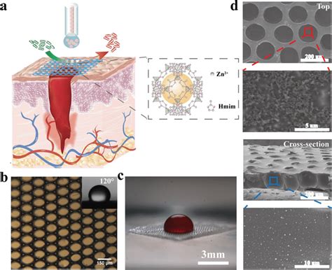 The Fabrication And Application Of The Omniphobic Mofs Pva Porous