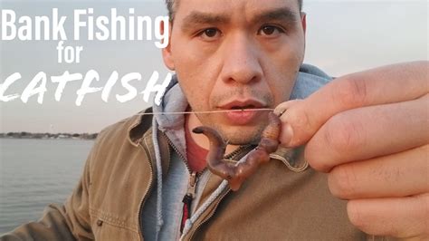 Bank Fishing For Catfish Night Crawlers Catfishing Outdoors Fishing