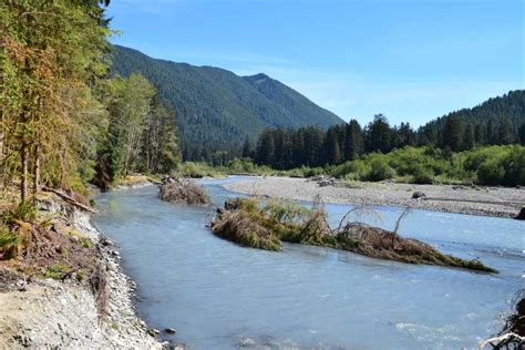 Olympic National Park Hoh Regenwald Und Rialto Beach Tour Getyourguide