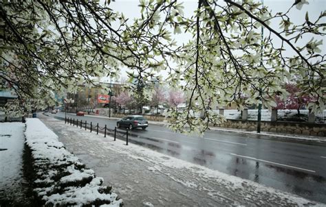 Danas Obla No I Hladno Mogu E I Padavine Bn