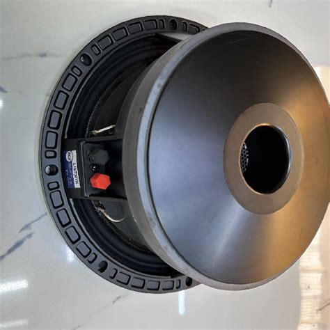 RCF 10 Inch Naked Speaker Best Price