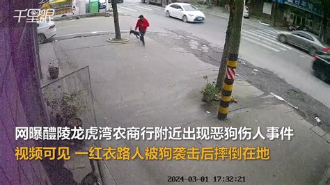 【湖南】网曝株洲发生恶狗伤人事件，当地卫生院：共接收了3名被狗咬伤人员