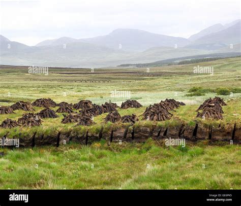 Turf Peat Stock Photos & Turf Peat Stock Images - Alamy