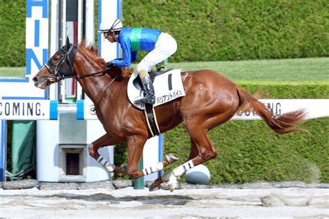 【阪神3r・2歳新馬】バリアントバイオが8馬身差圧勝 和田竜二騎手「口向き改善すれば上でも」 スポーツ報知