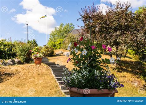 échelle En Béton Dans Le Jardin Beau Jardin Paysager Marches En