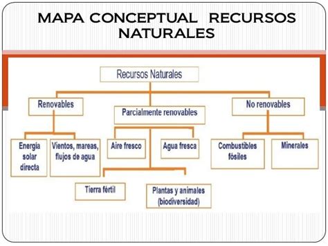 Los Recursos Naturales Olga Roberts