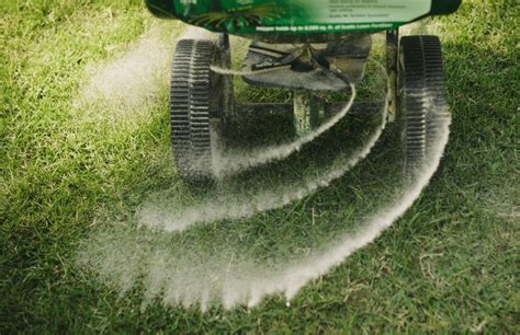 Lawn Fertiliser Tips Advice For The Ultimate Lawn Turf Advice