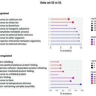 Graphical Representation Of The GO Terms Enriched In The S2 Vs S1 Data