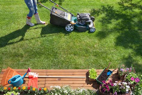 The Best Summer Lawn Care Tips Digital Trends