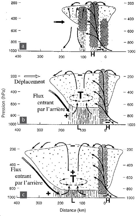 Diagramme schématique montrant l évolution d un système convectif de