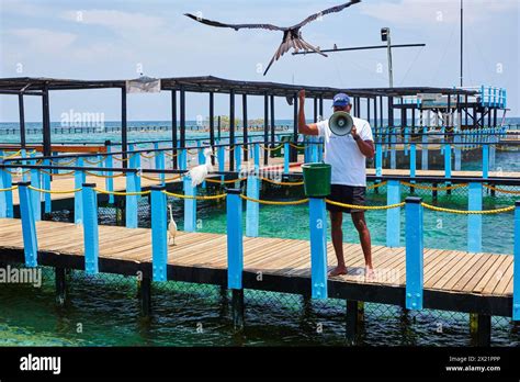 Oceanarium San Martin De Pajarales Island Rosario Islands Cartagena