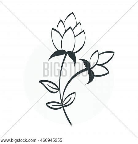 Floral Art Flower Vector Photo Free Trial Bigstock