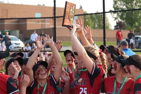 Canfield Cardinals Defeat Field 7 1 To Repeat As Division Ii District