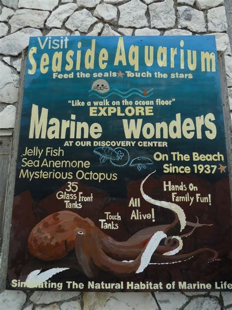 Where's Eldo?: Seaside Aquarium