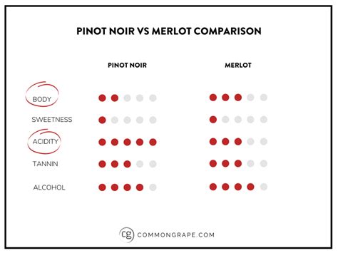 Pinot Noir Vs Merlot Differences Explained