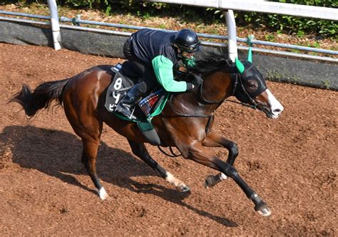 【京王杯2歳s】ビアンフェ軽快 中竹師も納得「しっかり伸びた」 競馬ニュース Netkeiba