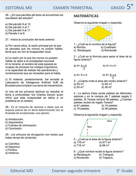 Examen Trimestral Quinto Grado De Primaria Editables