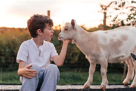 Boy And Goats Del Colaborador De Stocksy Melanie Defazio Stocksy