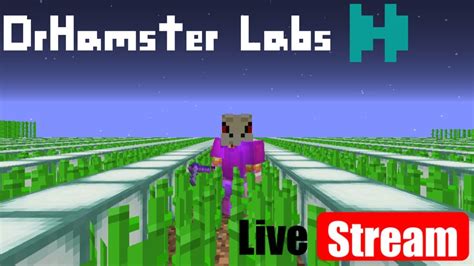 Farming For Coins Hypixel Skyblock Live Stream YouTube