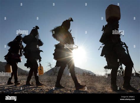 Himba Women All Walk In A Single Line While Returning From Collecting
