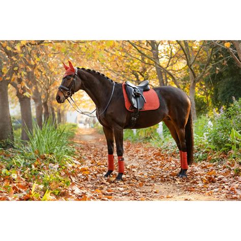 Tapis De Dressage Pour Cheval Daim LeMieux Tapis De Selle Textile