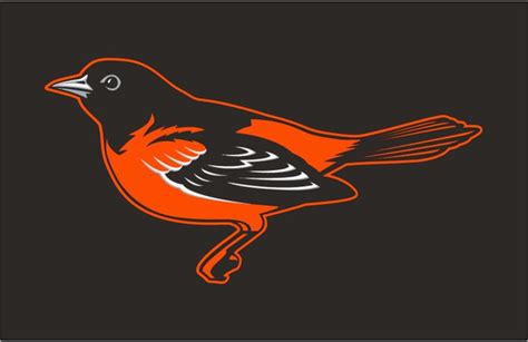 an orange and black bird on a black background