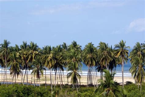 Playa Del Naranjo Playa Las Cuevas Alta Vista And The Nuevo Ixtlan