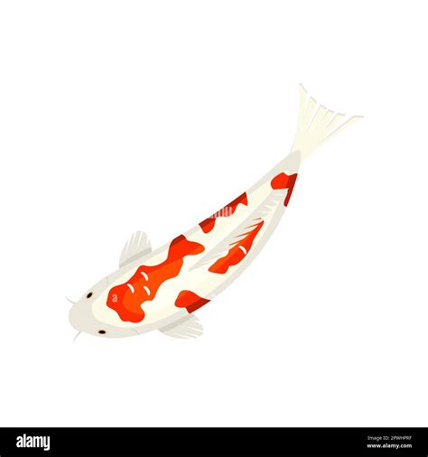 Koi Fish Swimming In Pond Stock Vector Images Alamy