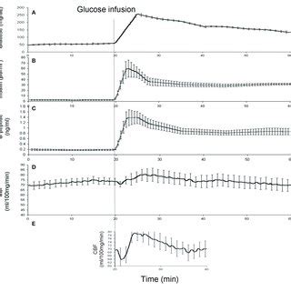 The Average Time Trends For The Blood Glucose Concentrations Top