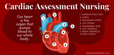 Cardiovascular System Nursing Assessment Nursingtroop