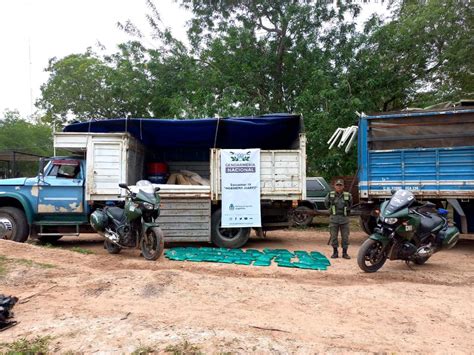 Gendarmería secuestró 250 kilos de hojas de coca en tres procedimientos