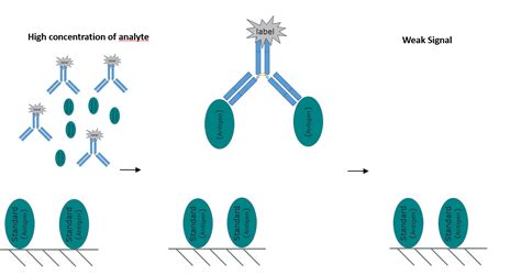 An Introduction To Elisa Part 2