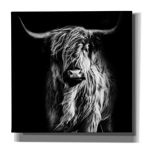 Epic Graffiti Hippy Highland Cow By Epic Portfolio Giclee Canvas Wall