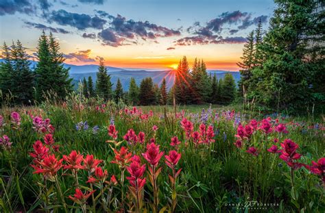 Solve White River National Forest Resize 12 To 600 Jigsaw Puzzle