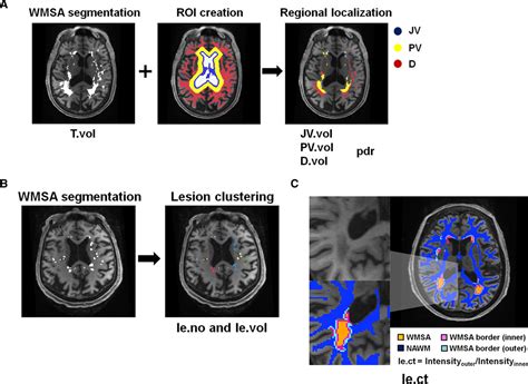 Heterogeneity Of Cerebral White Matter Lesions And Clinical Correlates In Older Adults Stroke