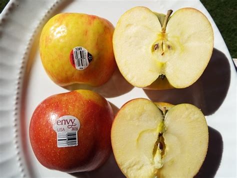 Honeycrisp apple | MNopedia