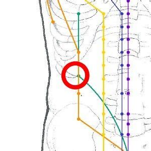 Punto 13 del meridiano de Hígado Puntos Acupuntura Apuntes