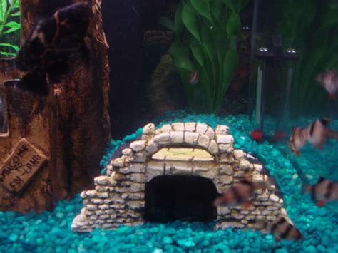 Pvc Pipe Diy Aquarium Caves - Diy Cares