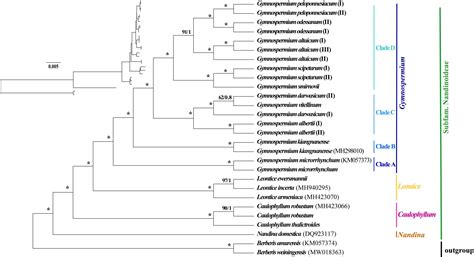 Frontiers Plastid Phylogenomics And Plastome Evolution Of