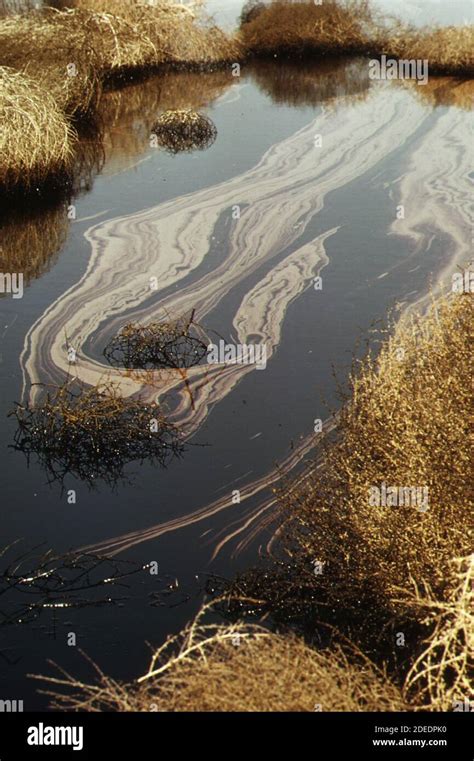 Water Pollution 1970s Hi Res Stock Photography And Images Alamy