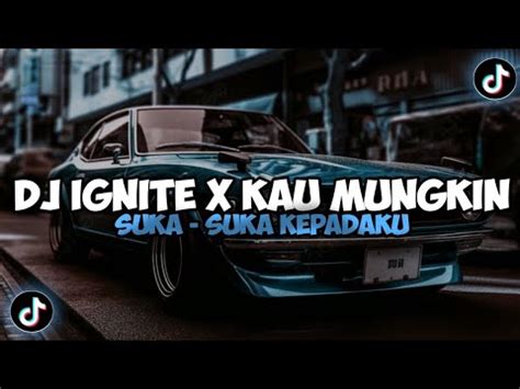 Dj Ignite X Kau Mungkin Suka Suka Kepadaku Mengkane Jedag Jedug